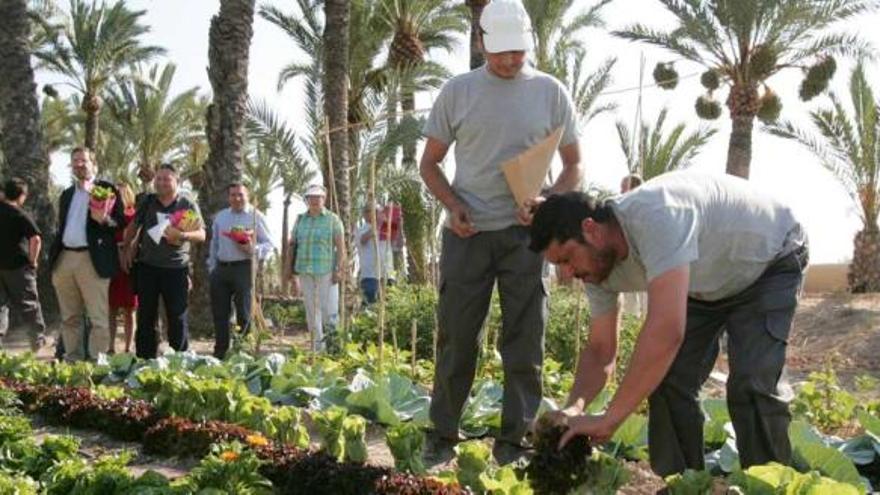 Agricultura para abrir caminos