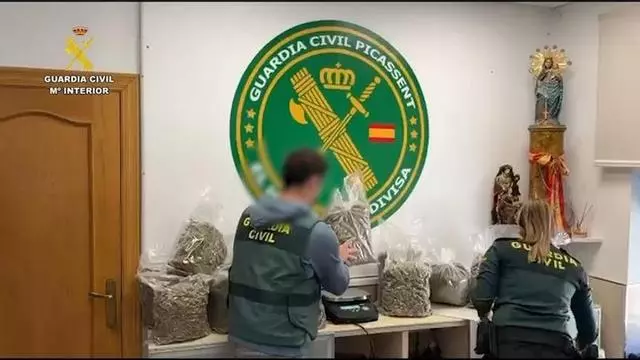 Desmantelada una plantación de marihuana en Picassent gracias a las quejas de los vecinos por el olor