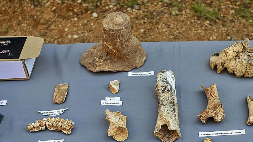 Piezas localizadas en las excavaciones de la sierra de Atapuerca. | Ical