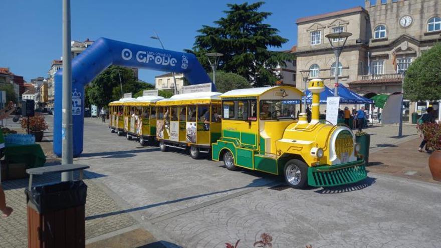 El tren turístico de Cruceros del Ulla-Turimares se sumó a la marcha. |   //  FDV