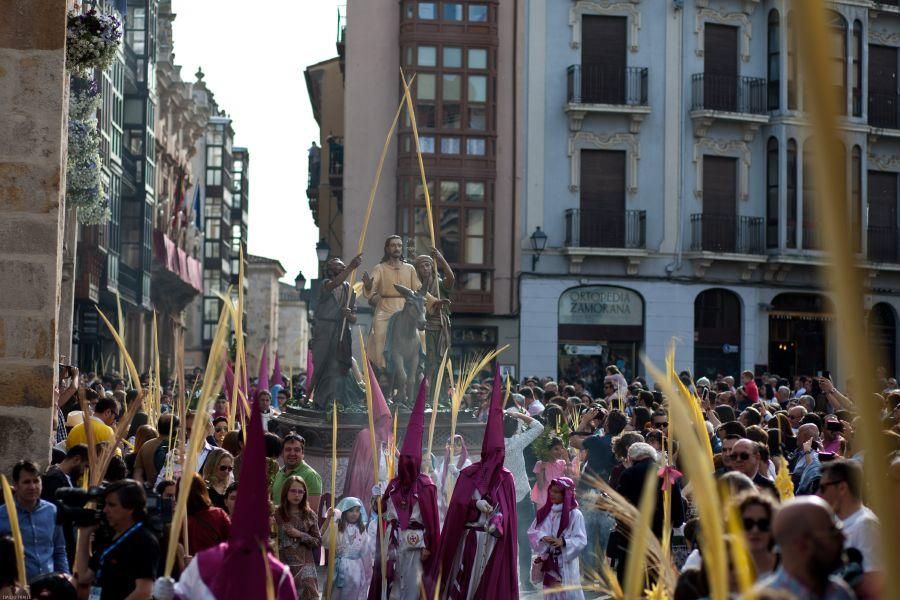 Semana Santa en Zamora: La Borriquita