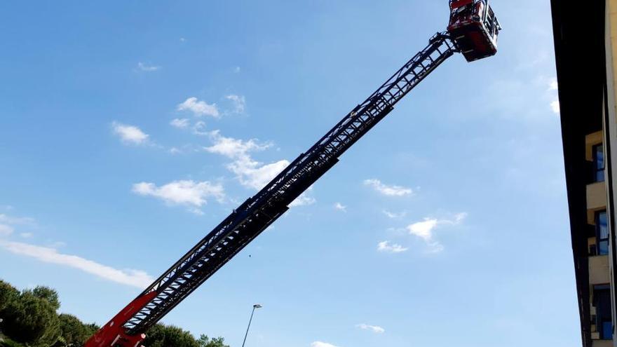 El rescat d'un ocell mobilitza Bombers, Policia Municipal i Agents Rurals a Girona