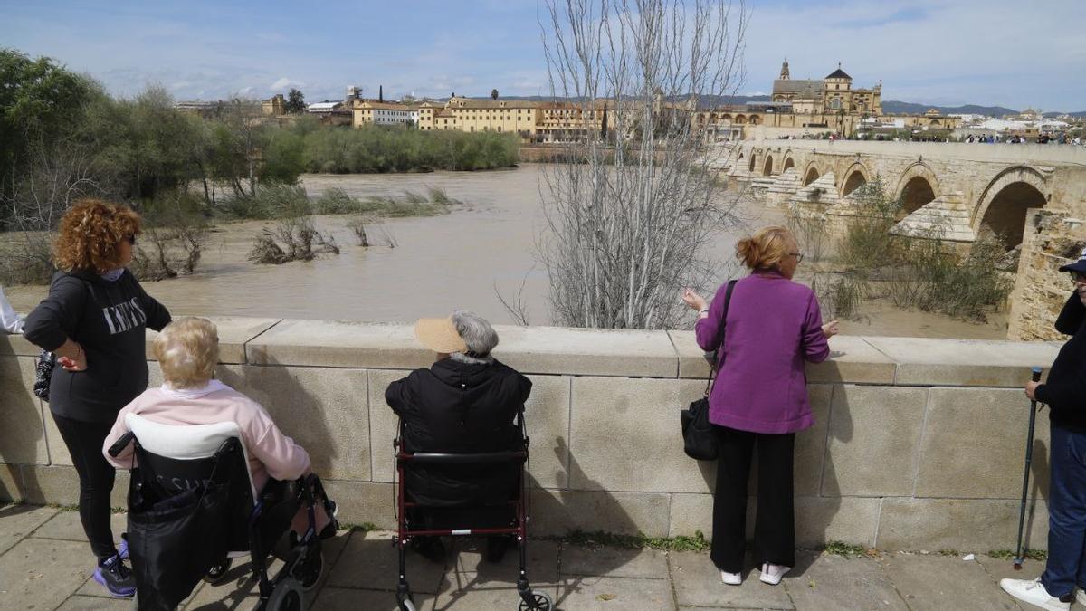 Los cordobeses aprovecharon la tregua del miércoles para acercarse a ver el estado del río.