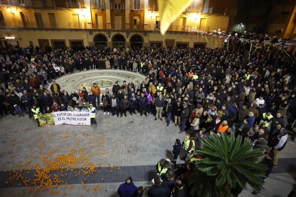 Protesta de citricultores en Castelló