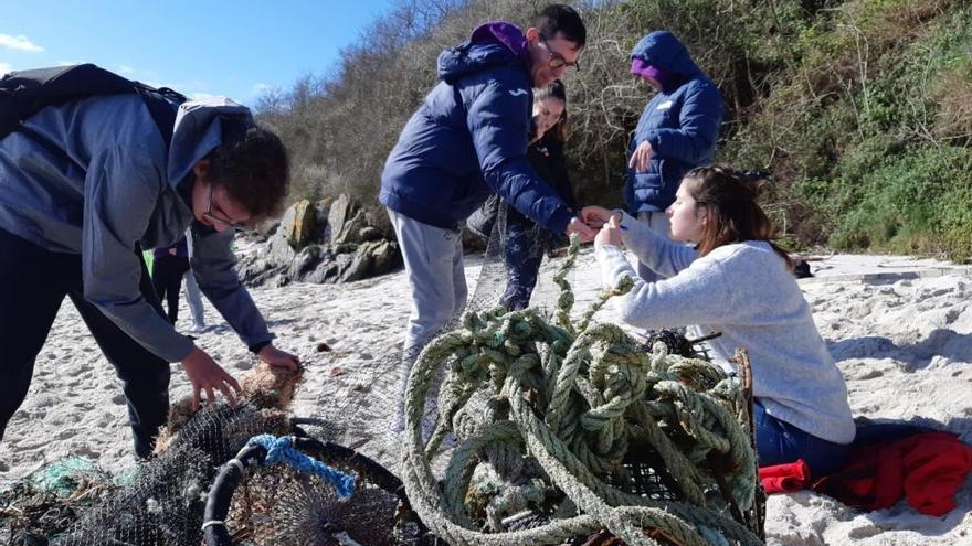 Voluntarios trabajando hoy en la isla de Ons.// Cobga