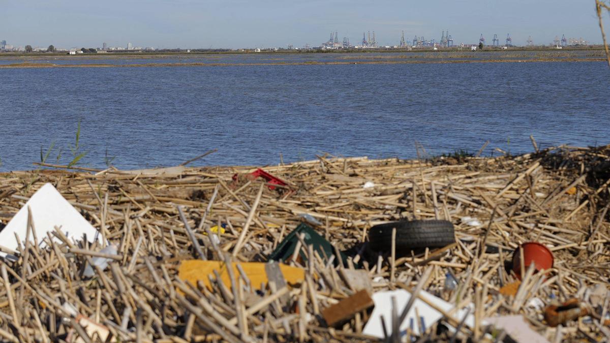 Imagen de archivo de los efectos de la dana de València sobre el Parque Natural de l'Albufera, en enero de 2025.