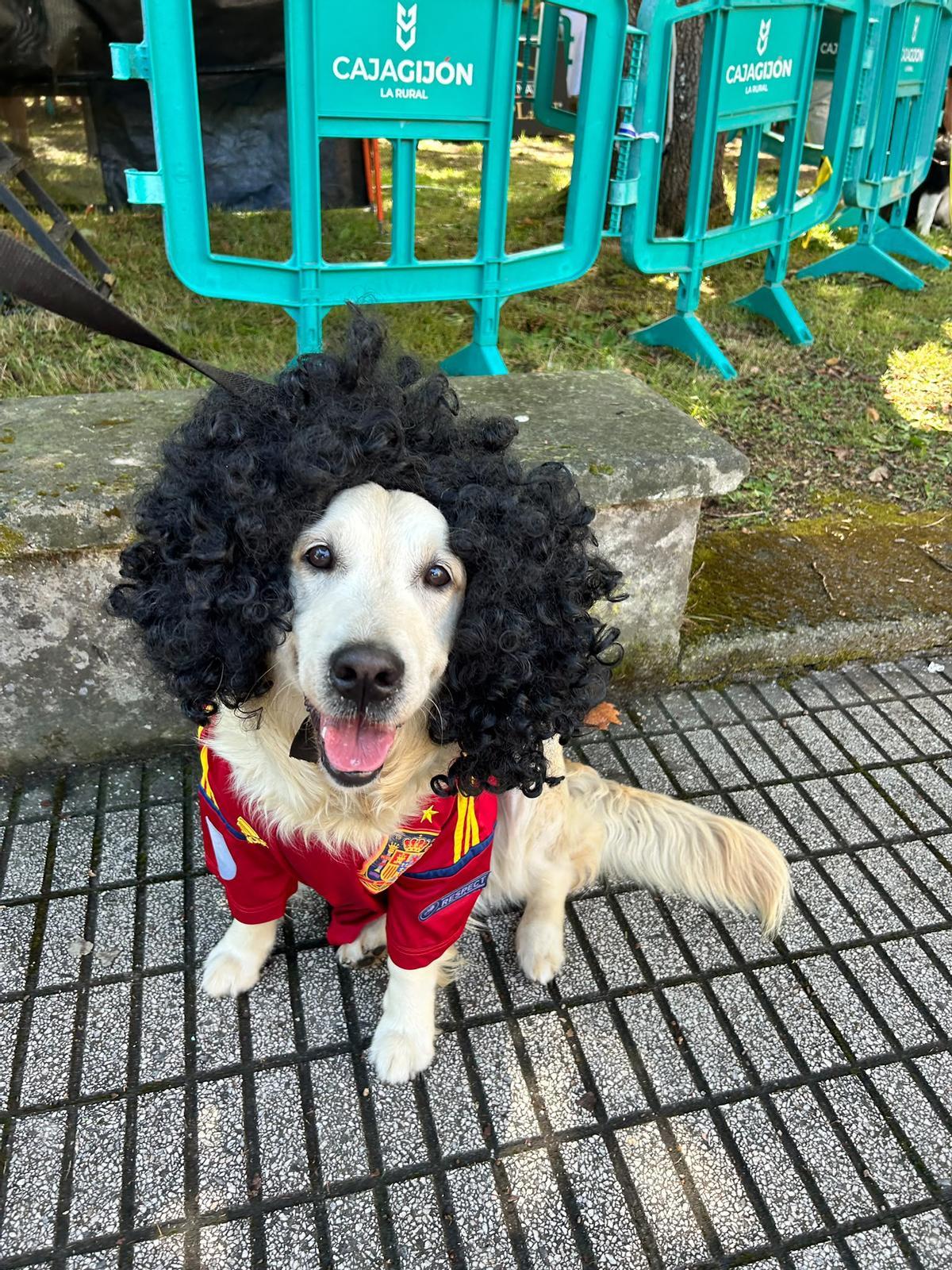 Cucurella, la perra que enamora a Somió