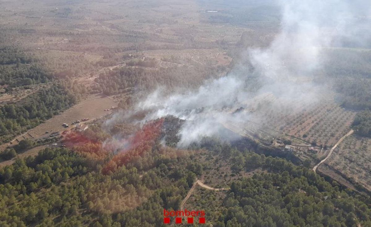 Declarat un incendi forestal al Perelló (Tarragona)
