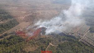 Declarat un incendi forestal al Perelló (Tarragona)