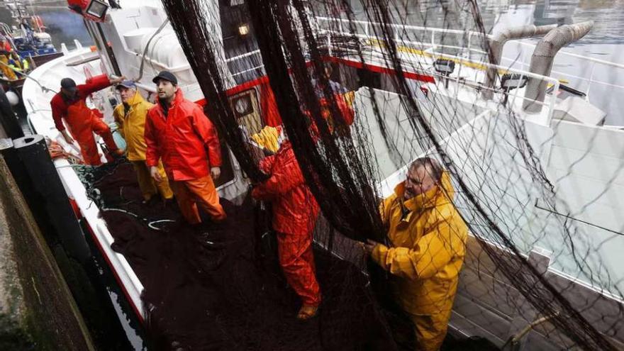 Marineros de cerco preparan las redes en un puerto gallego para salir a faenar.