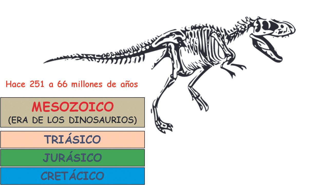 Mesozoico, la era de los dinosaurios