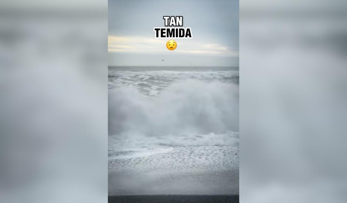 Diseño sin título - 1