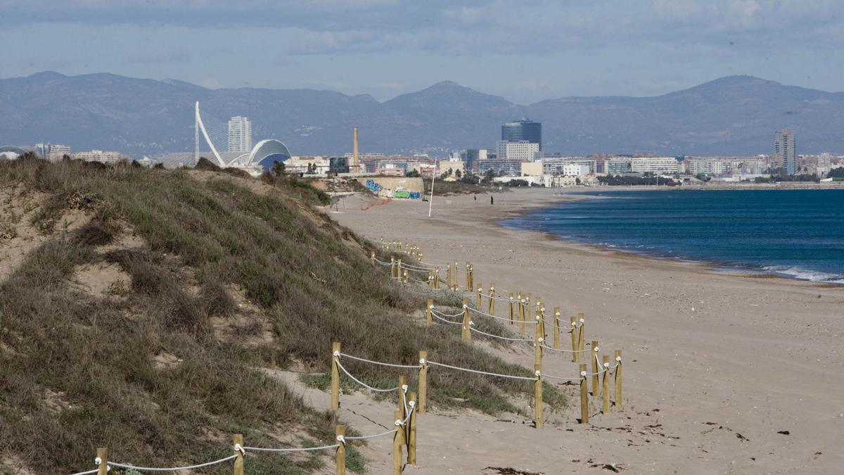 La ciudad de València vista desde la playa de El Saler, con el cordón de dunar recuperado en primer plano.