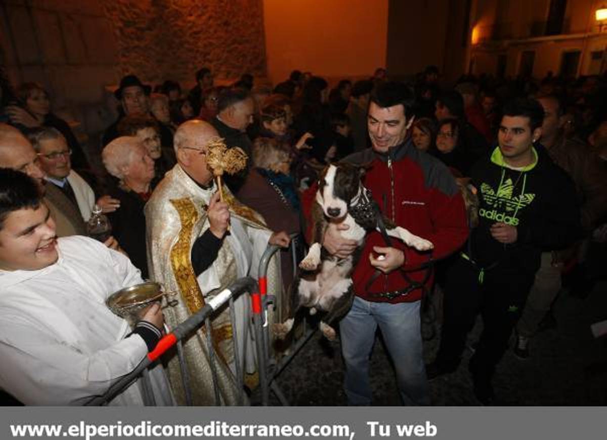GALERÍA DE FOTOS - Matxa de Sant Antoni Alamassora