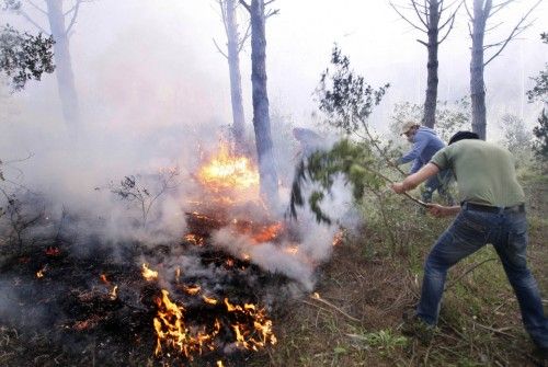 Incendi forestal a peu de les Gavarres