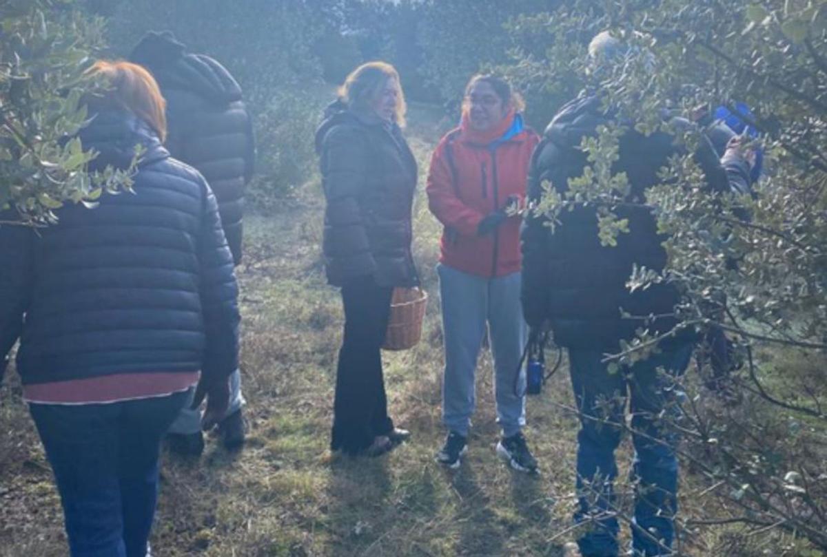 Participantes en la salida micológica. | E. P.