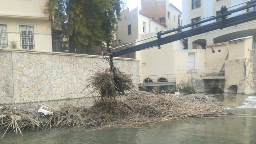 Orihuela limpia los residuos acumulados en el azud del Puente Nuevo