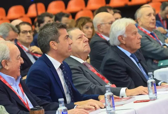 Asamblea General de AVE en València