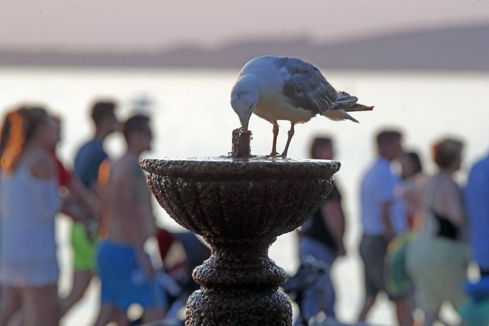 Vigo sobrepasó este domingo los 36,5º y la previsión indica que Galicia seguirá bajo la influencia de las altas presiones durante los próximos días.