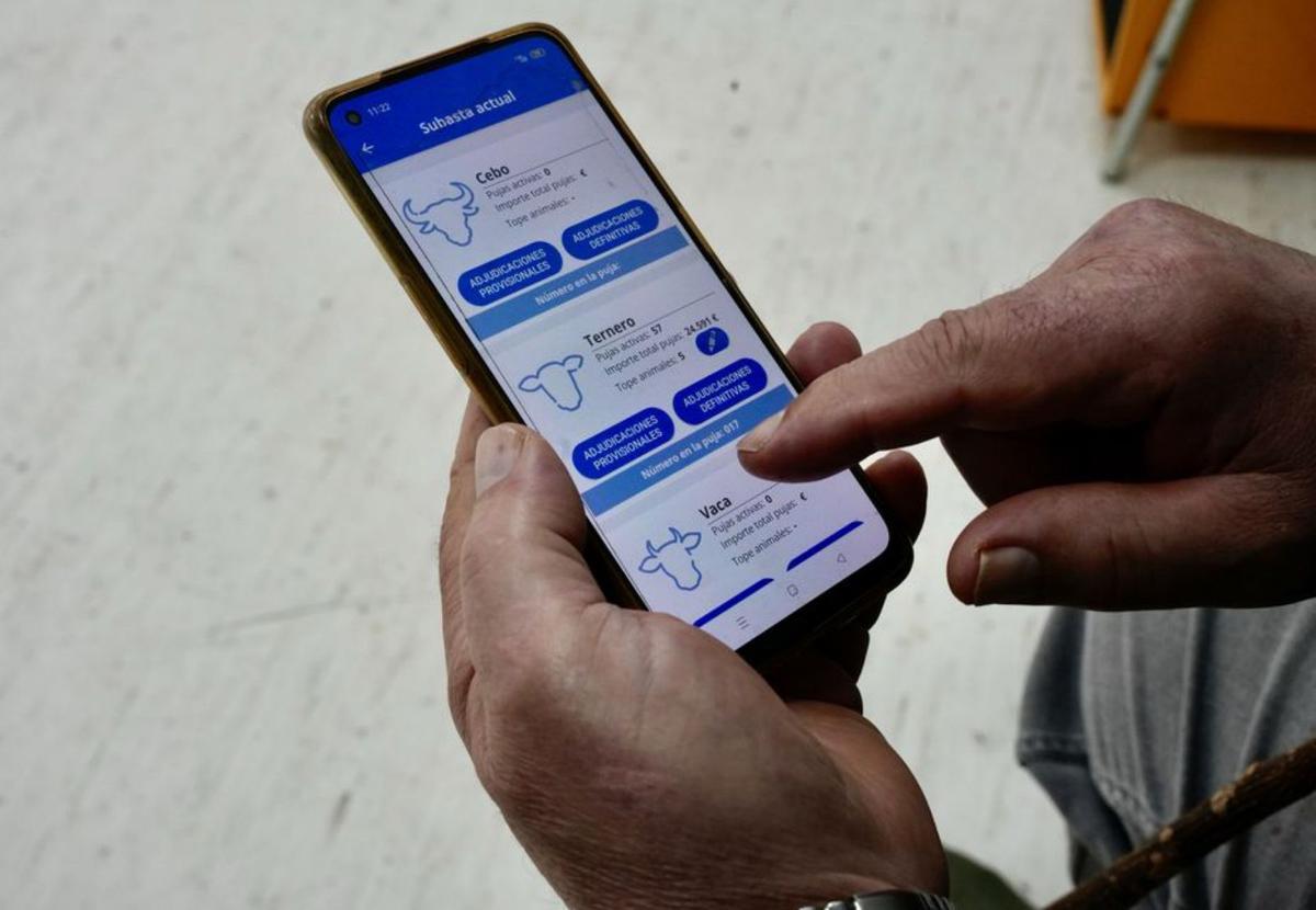 Un comprador 
muestra cómo 
funciona la app 
en su móvil. 
|  Bernabé