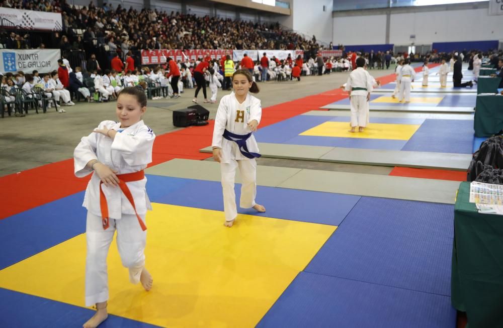 26ª edición de la Fiesta del Judo Infantil