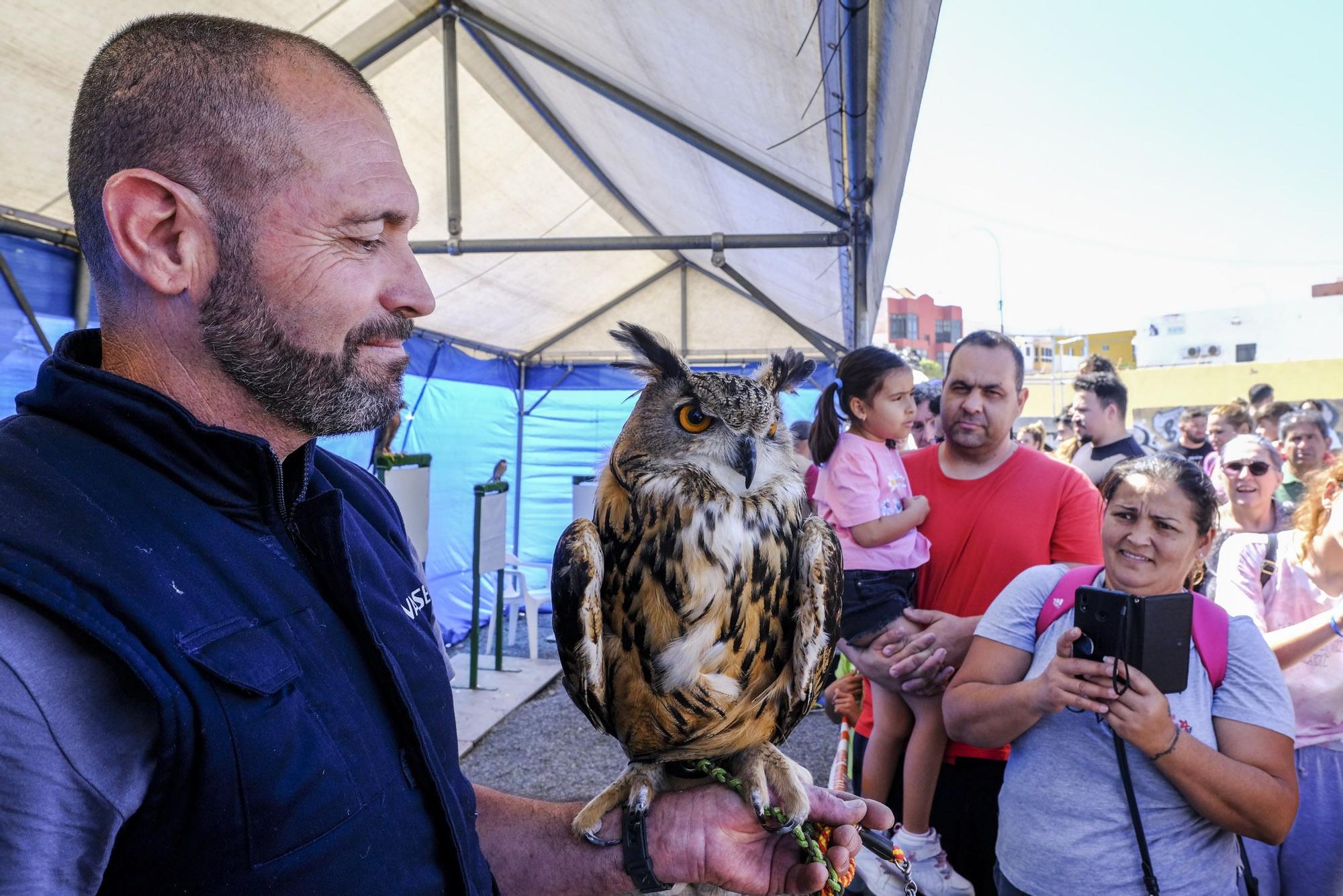 Feria del Sureste