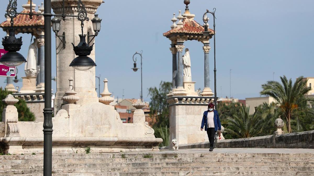 Una mujer pasea a su perro en València.