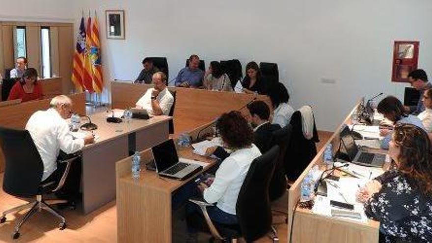 Un momento de la sesión plenaria del Consell de Formentera.