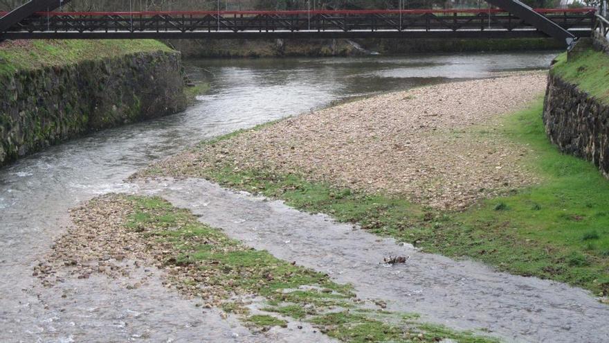 Toneladas de sedimentos se amontonan en la confluencia del Güeña con el Sella, en Cangas de Onís