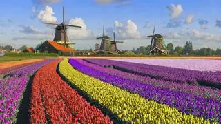 Zaanse Schans: un viaje al corazón de la cultura holandesa