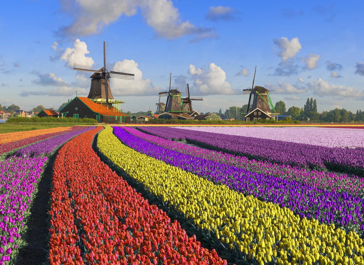 Zaanse Schans: un viaje al corazón de la cultura holandesa