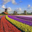 Zaanse Schans: un viaje al corazón de la cultura holandesa
