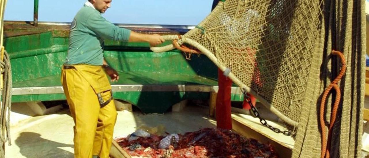 Un pescador vacía una red de arrastre con gambas sobre la cubierta de un barco.