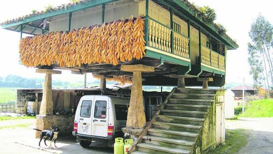 Panera de diez pegollos en la parroquia de Logrezana, en Carreño.