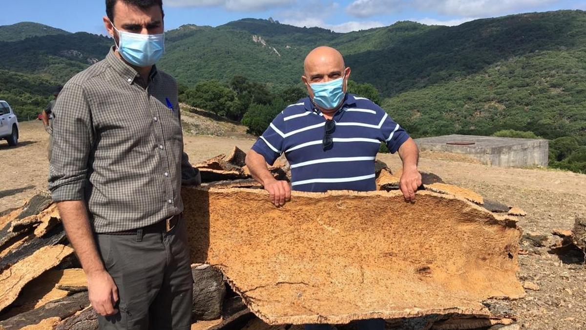 El edil de Medio Ambiente de Ronda, Jesús Vázquez, ha supervisado las obras de la saca de corcho en los Montes de Propios.