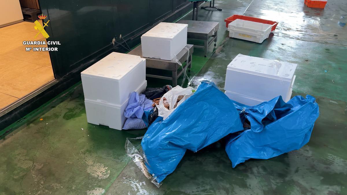 Cajas y bolsas en las que se encontraba el pescado y marisco decomisado.