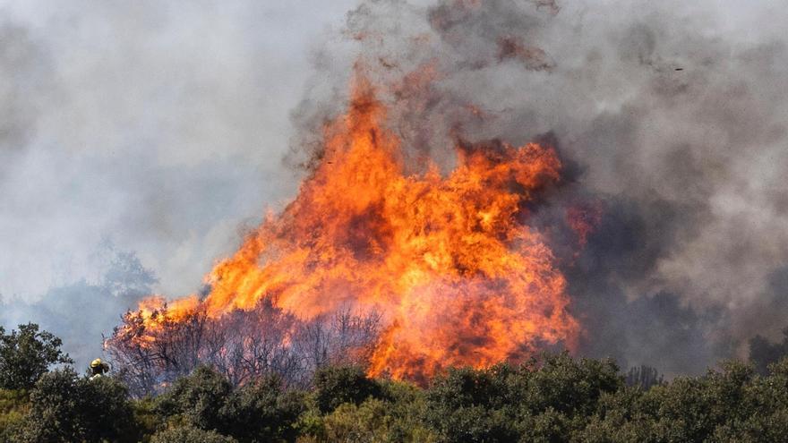 El incendio de Bejís arrasa 10.000 hectáreas: entra en València y avanza hacia Jérica y Viver