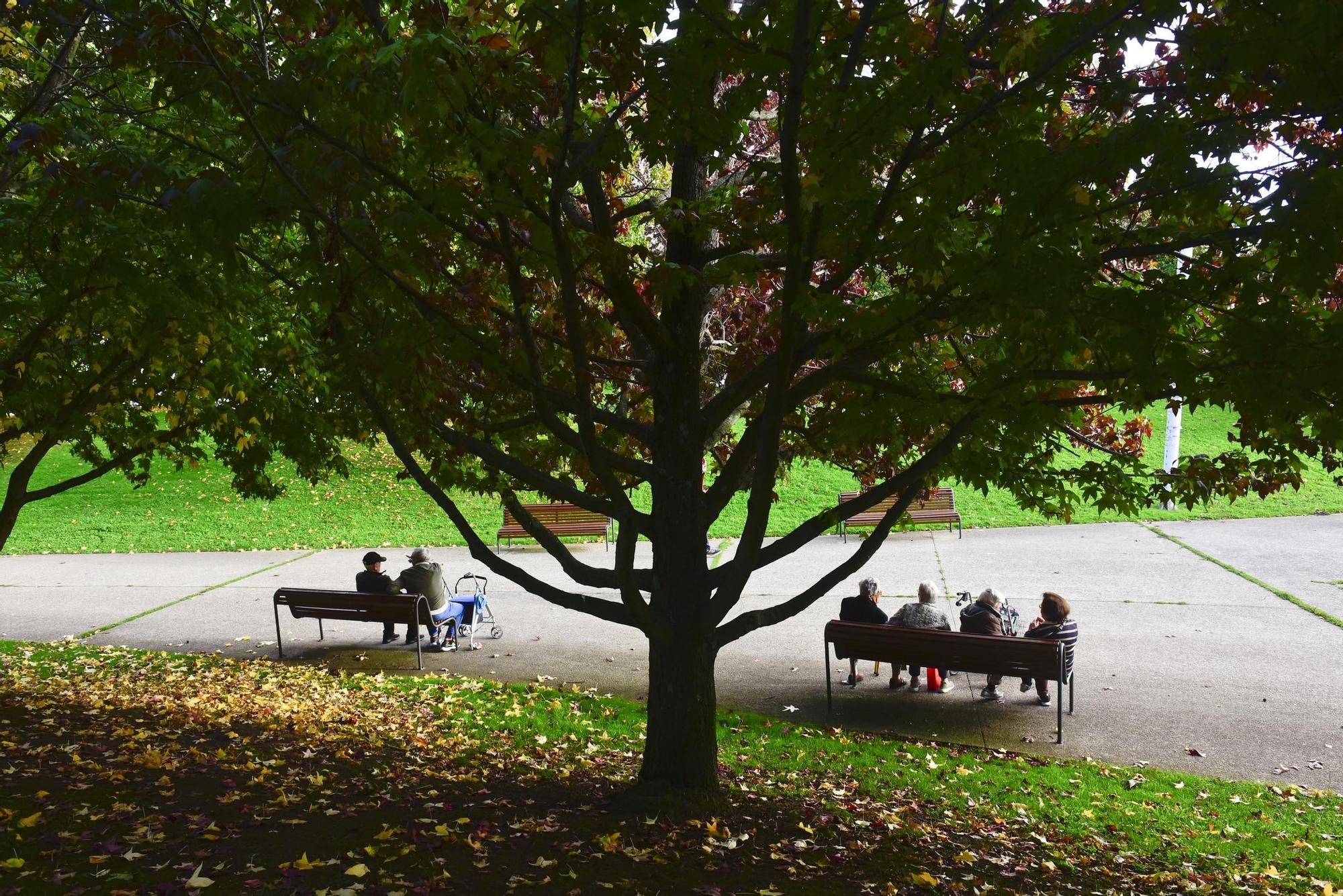 El parque de Vioño: la estampa perfecta del otoño en A Coruña