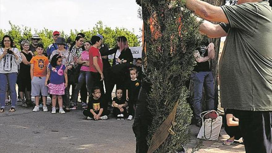 El Caminàs recupera su pareja de cipreses en una festiva plantación