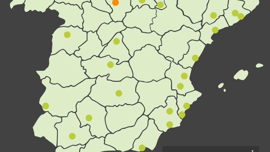 Los alérgicos murcianos conocerán el nivel de polen en el aire