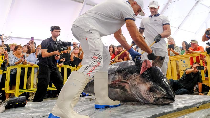 Feria del Atún de Mogán