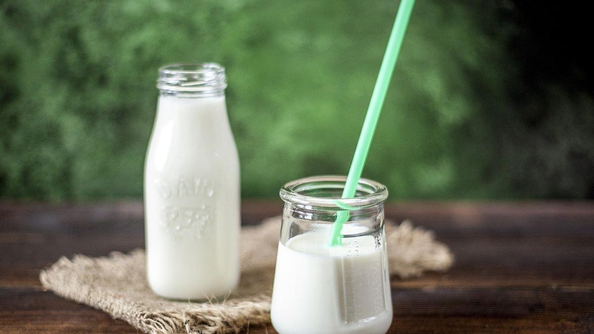 Tomar un yogur desnatado para merendar te hará llegar con menos apetito a la cena