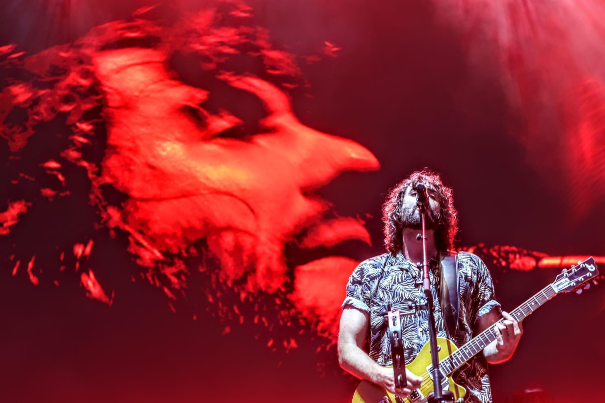 Estas son las mejores imágenes del último día del Spring Festival 2025