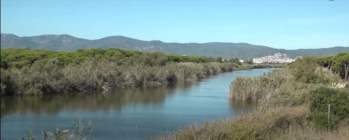 El Govern impulsarà accions de restauració fluvial a la maresma de les Filipines, a Viladecans