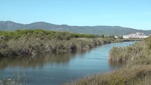 El Govern impulsarà accions de restauració fluvial a la maresma de les Filipines, a Viladecans