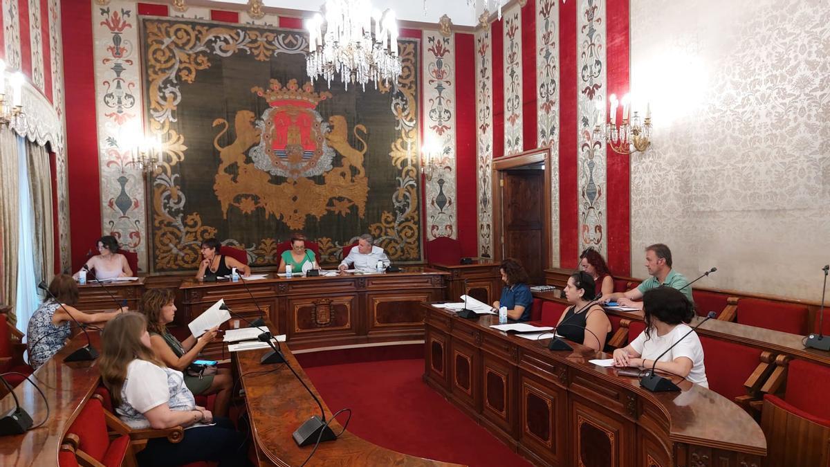 El Consejo Local de Igualdad se ha celebrado en el salón de Plenos del Ayuntamiento de Alicante