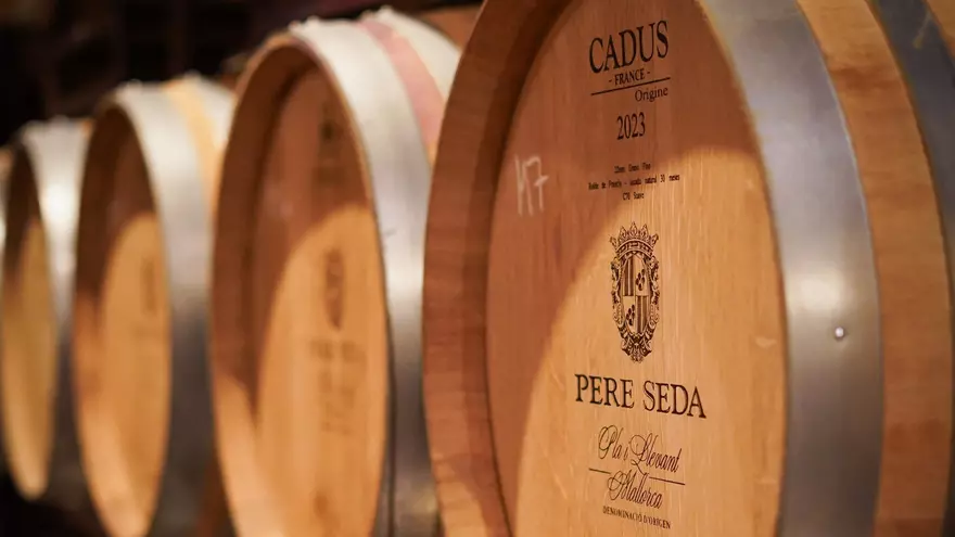 Bodegas Pere Seda, la habilidad de extraer las máximas cualidades que esconde cada grano de uva