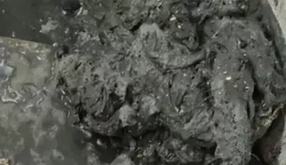 Las aguas fecales inundan los bajos de dos edificios en Las Rehoyas