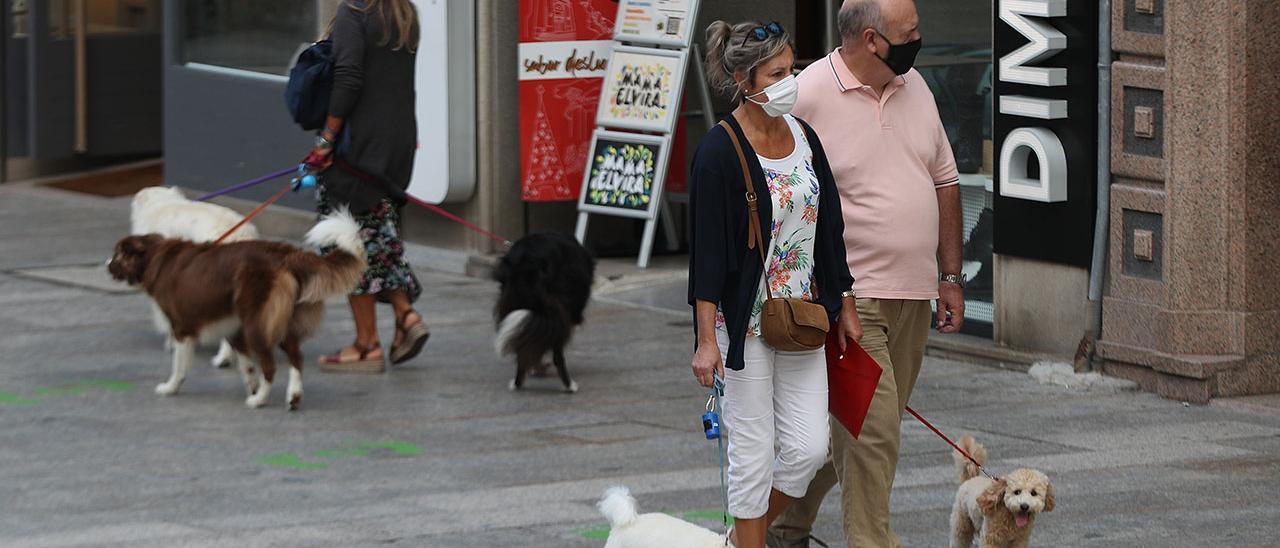 Varias personas paseando sus perros por el centro de Vigo