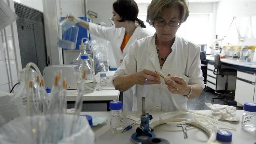 Detectado en Barcelona un brote de hepatitis A que afecta a 42 personas